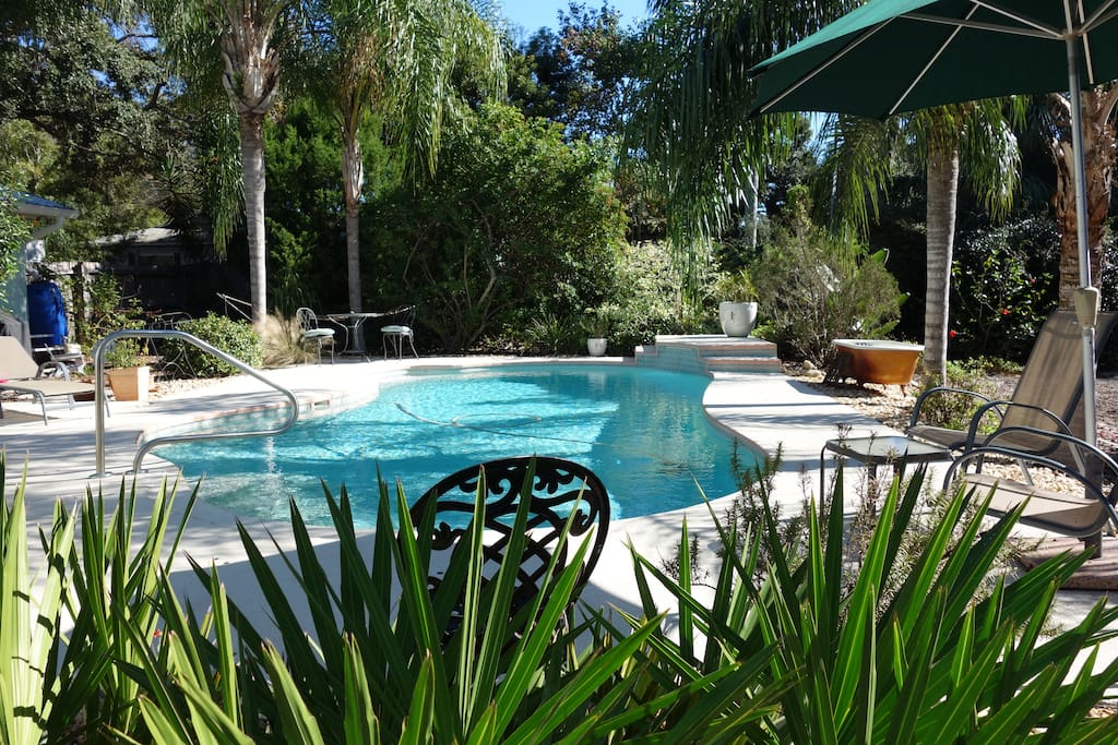 Relaxing pool in a native Florida landscape.