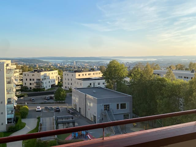 Hjemmekoselig leilighet over Oslo