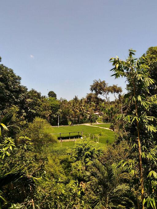 View from 2nd floor room.