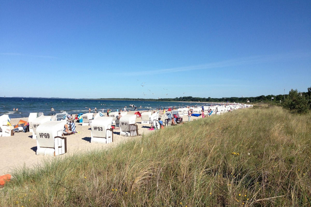 A sandy beach stretches along the coastline, with beach chairs arranged under sunshades. Soft dunes adorned with grasses border the area. In the distance, the calm waters of the sea meet the clear blue sky, creating a serene beachfront scene.
