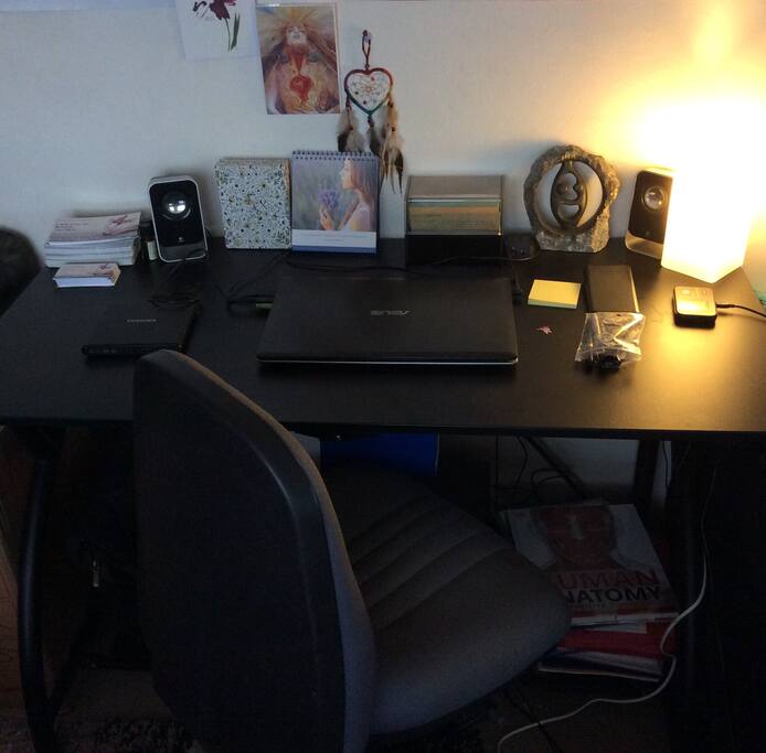 Professional desk space