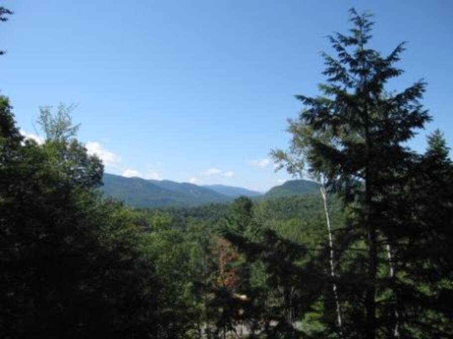 summer view