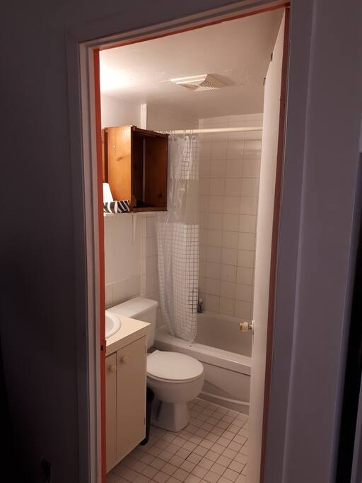 The bathroom