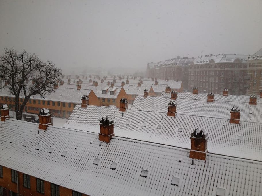 The view winther
