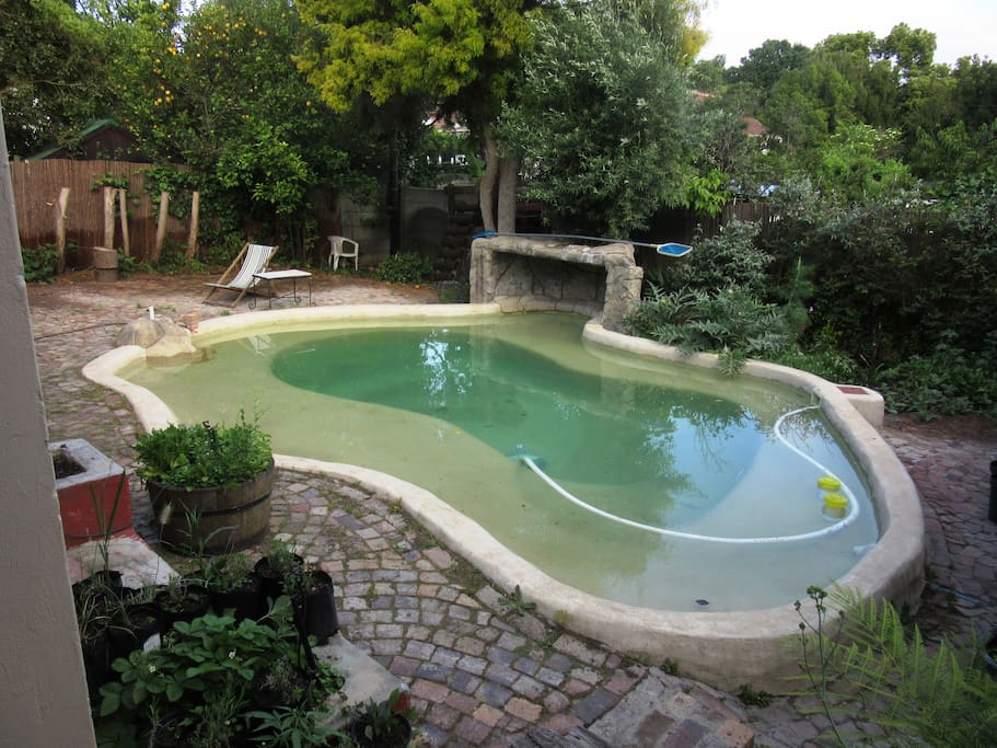 Refreshing beach pool to cool off and sip your drinks in!!