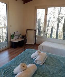 Casita en la montaña