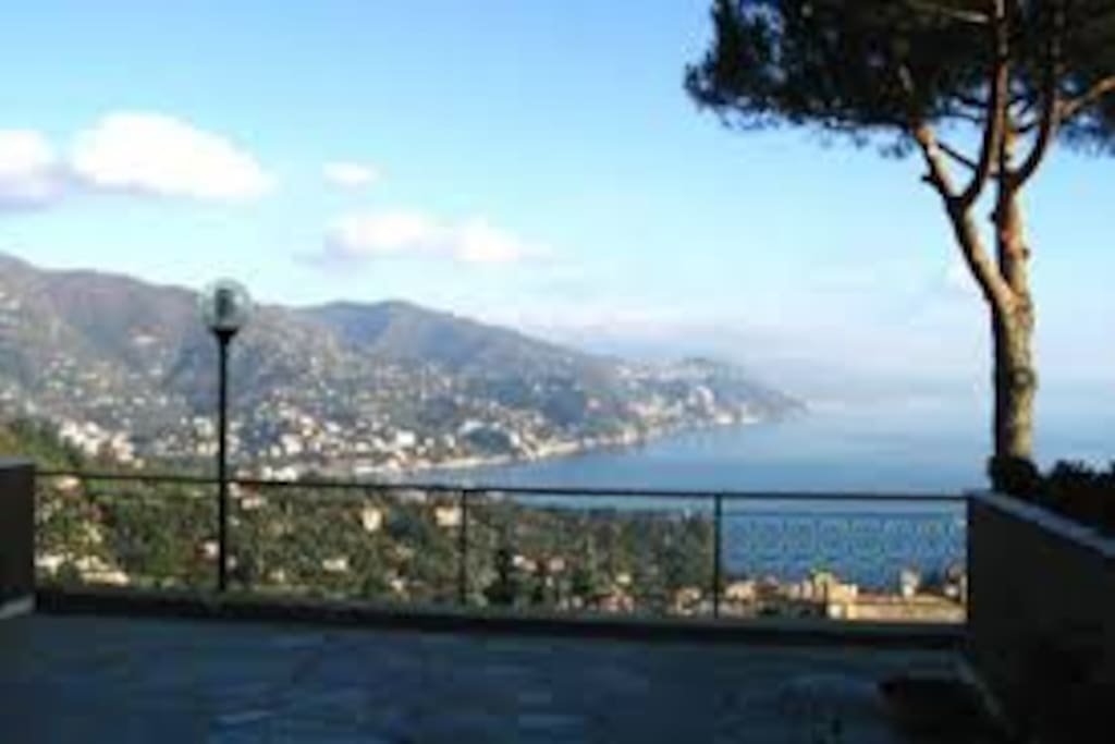 Landscape from the balcony