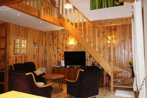 Top Airbnb: Duplex Apartment for 4 / 5 persons à Allemond