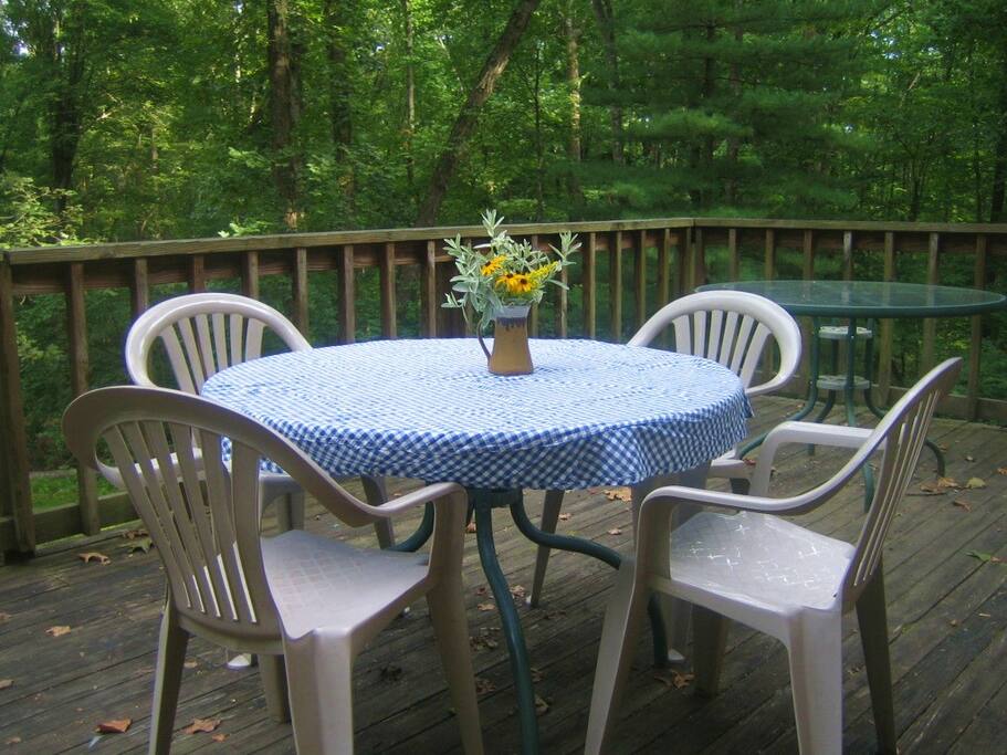 Table on back porch, a great spot for breakfast.