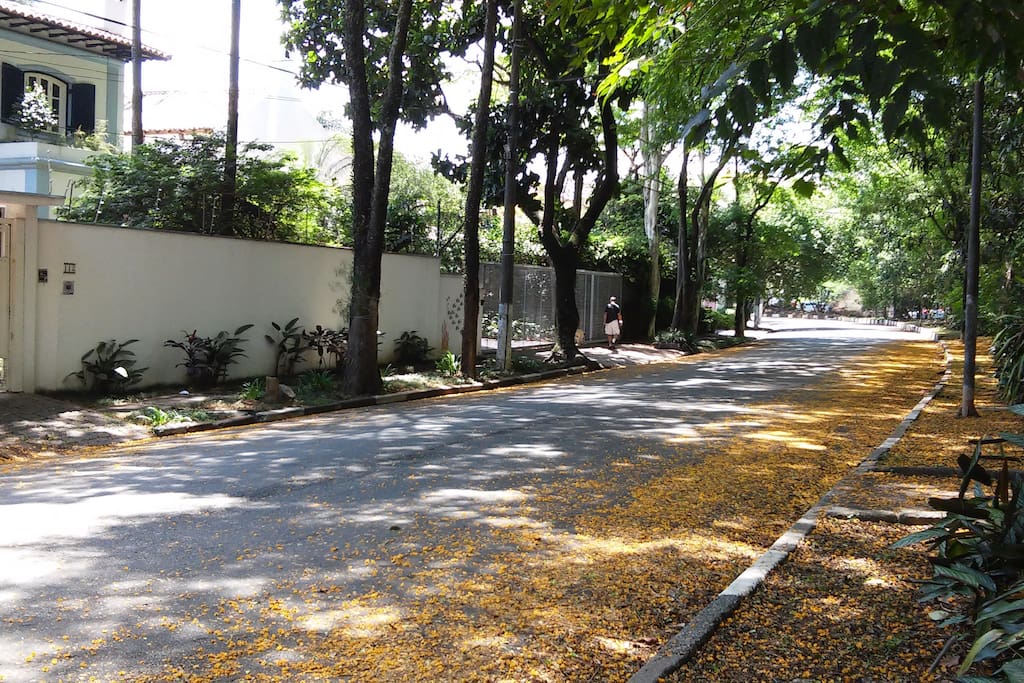 vista da casa e rua na primavera