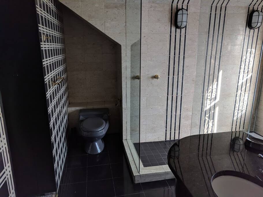 Master bath with Jacuzzi tub