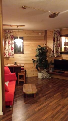 Appartment Chamonix center