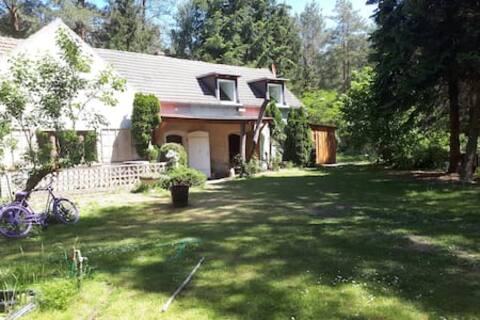 Guesthouse in the middle of the forest near Jüterbog