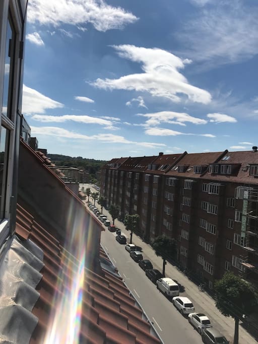 View outside the livingroom