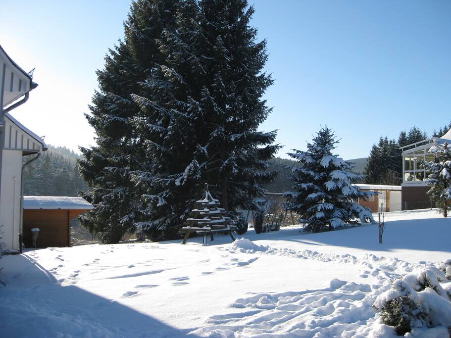Winter