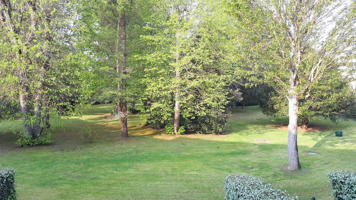 A lush park area is highlighted, showcasing well-maintained grass and a variety of trees. Sunlight filters through the leaves, creating a serene environment ideal for relaxation. The space is spacious, providing opportunities for leisure activities or quiet contemplation.