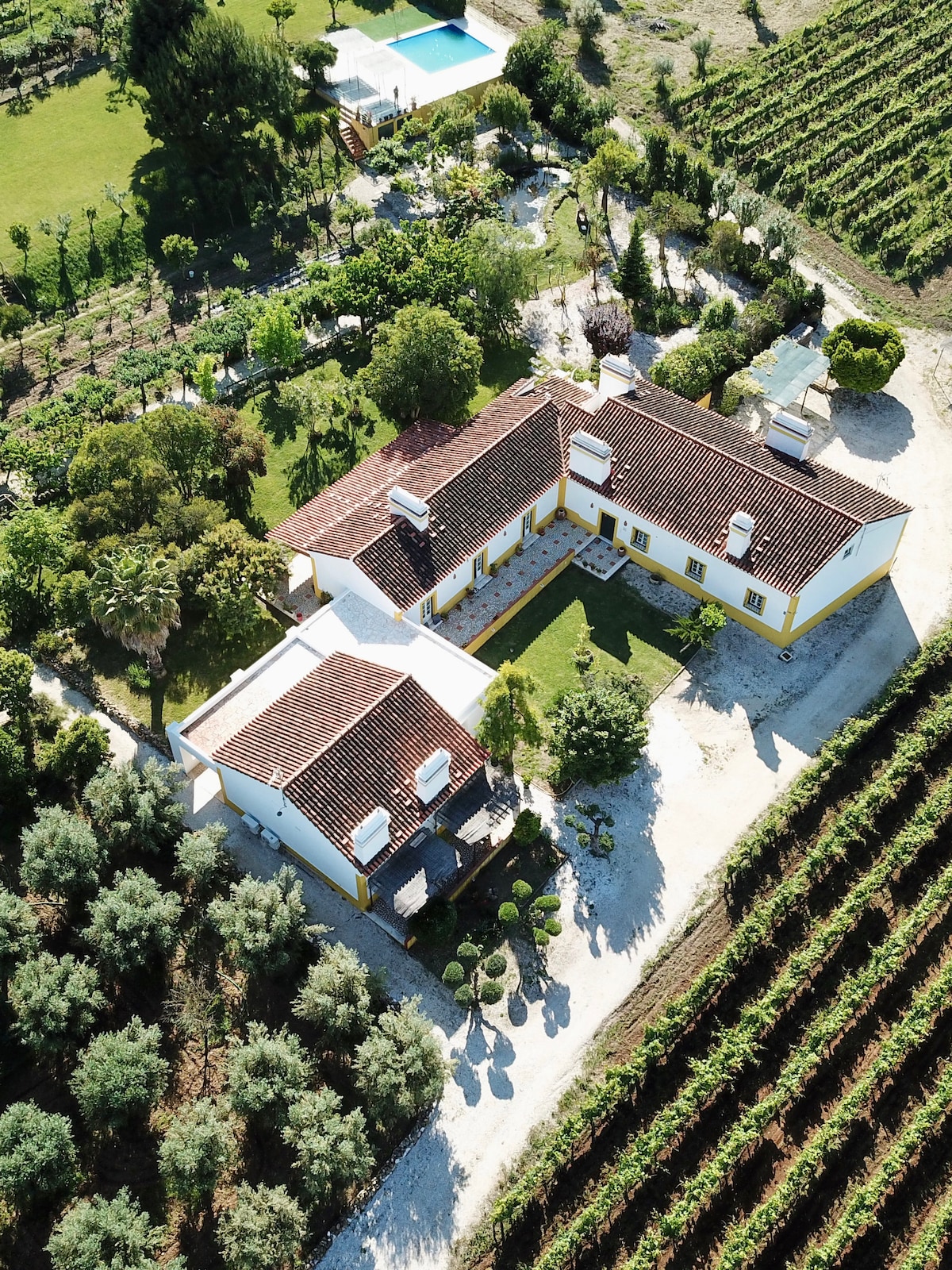 Aerial view of a charming countryside house surrounded by lush greenery and neat rows of vineyards. The well-maintained exterior features a spacious yard and garden, with a pool visible in the background, complementing the serene rural setting.
