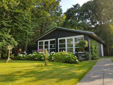 Vacation Rental De Poolster