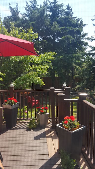 Beautiful deck off kitchen