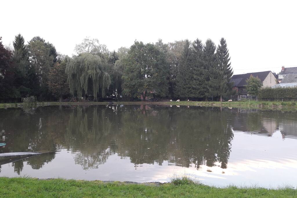 View of the lake in front of the house.