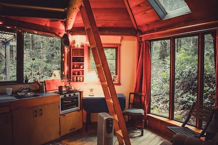 Rustic cabin in the woods