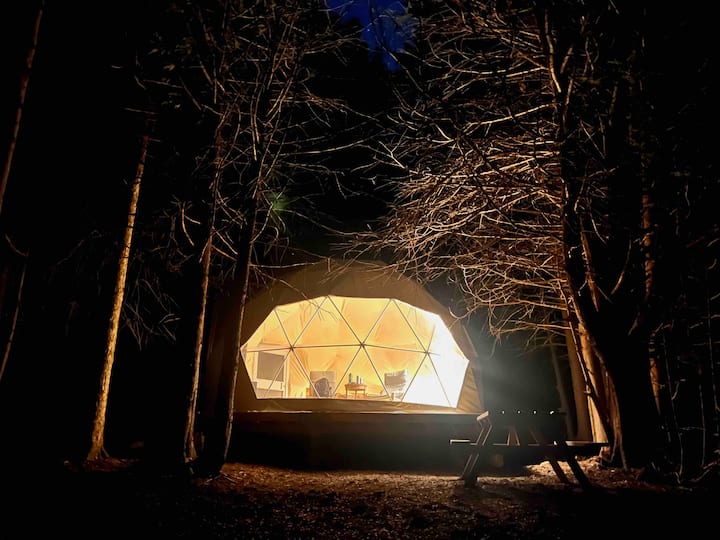 Cozy Glamping Dome in the Woods Dome houses for Rent in Meaford