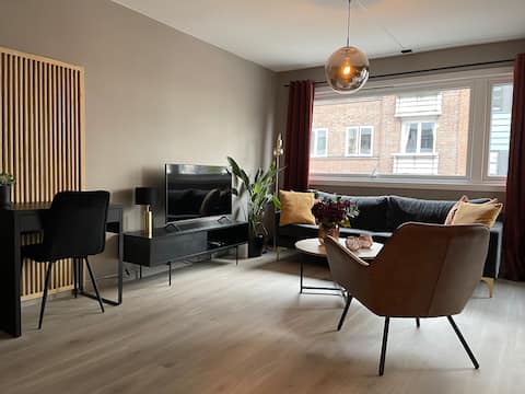 Nice and modern apartment in the heart of Oslo