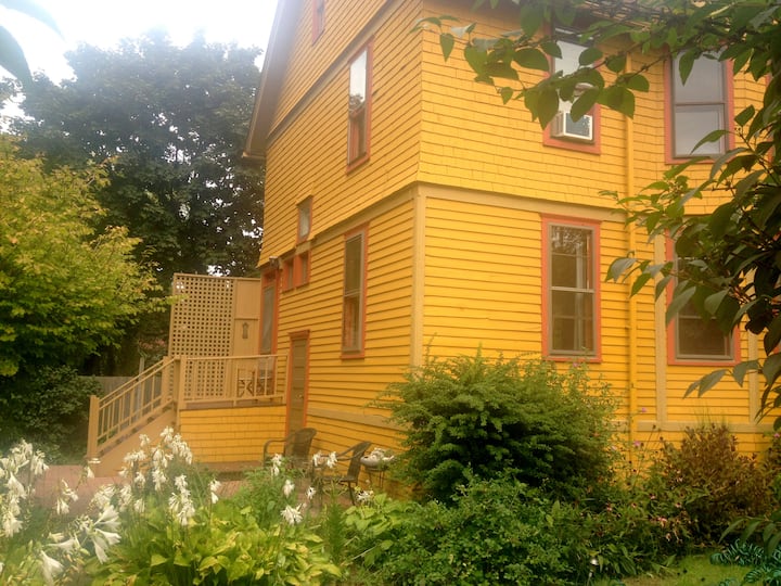 Artist Sanctuary! Perfect location! Apartments for Rent in Ithaca