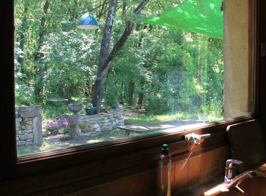 Vue sur la forêt de la cuisine