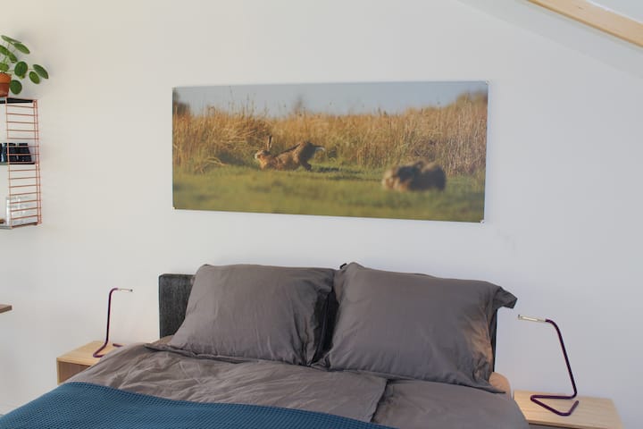Cama