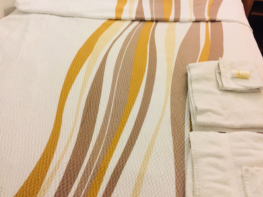 New Towels are ready for you! There are extra towels to your avail! Including Shampoo!