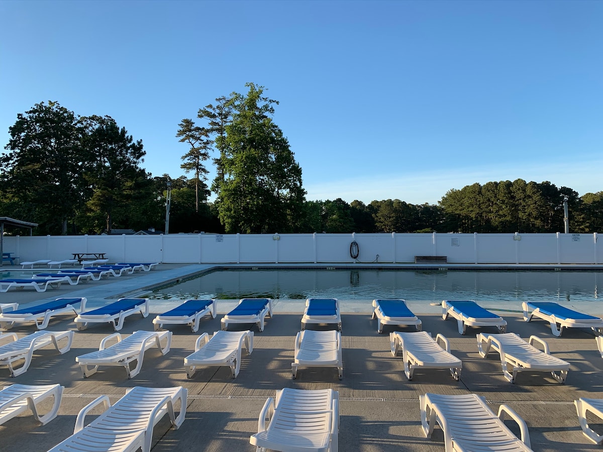 An Olympic-sized pool is visible, surrounded by numerous white lounge chairs with blue cushions. Tall trees rise in the background, providing shade alongside a clear sky. A lifebuoy hangs on the fence, and a serene atmosphere is evident around the pool area.