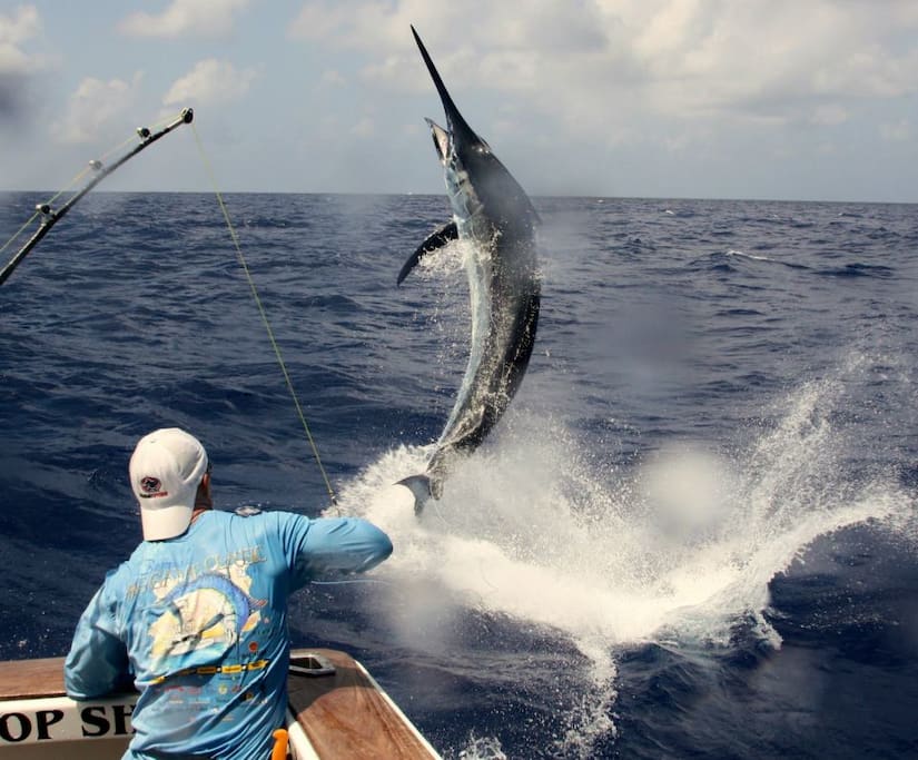 Sport Fishing Club of Ponce with marine vessel and private sea tours for visitors such as Isla de Los Ratones which you can see from the balcony of your seafront vacation home!
