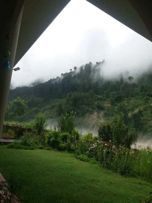 Spring and summer bring a lush green colour to every thing at Anand Ganga