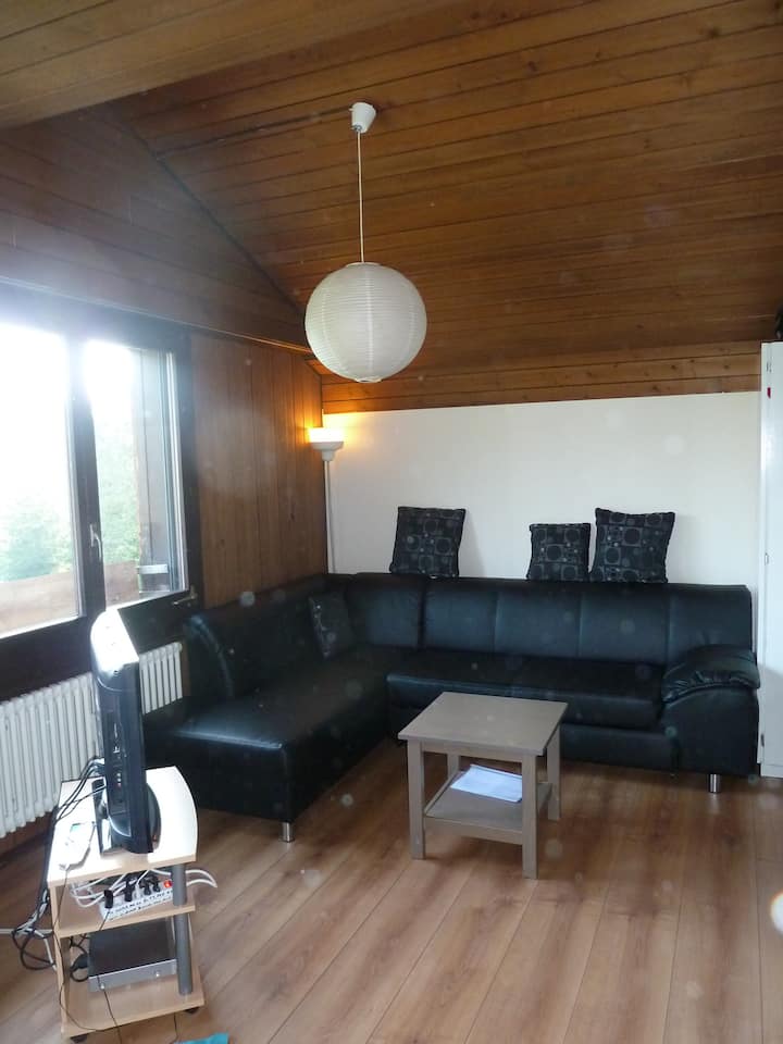 Mörlialp Rooftop Apartment/ Above Giswil - Giswil