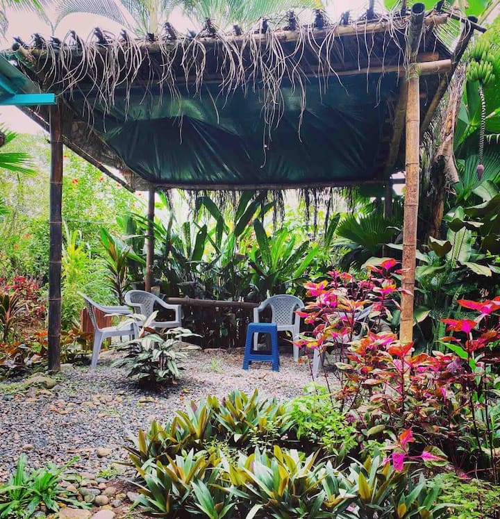 Beach life! Great location with a jungle view!