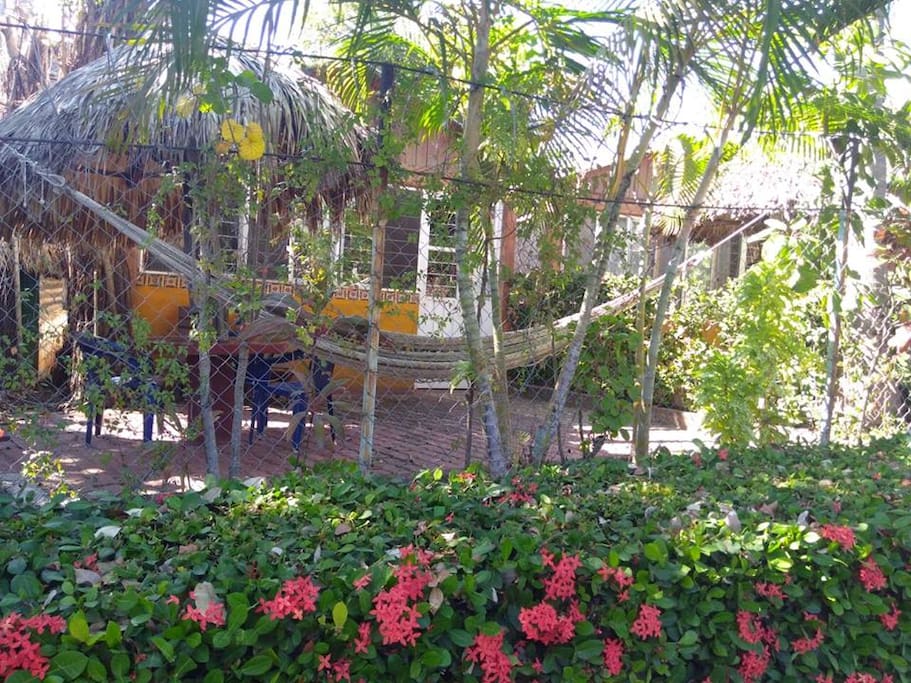 el patio desde la calle