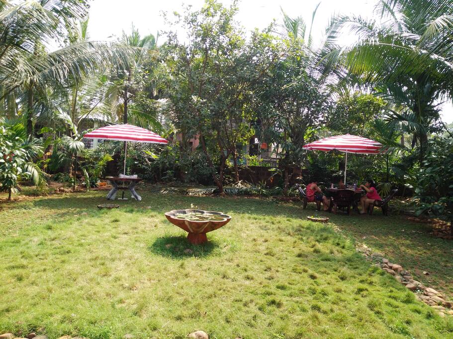 Lawn to chill out