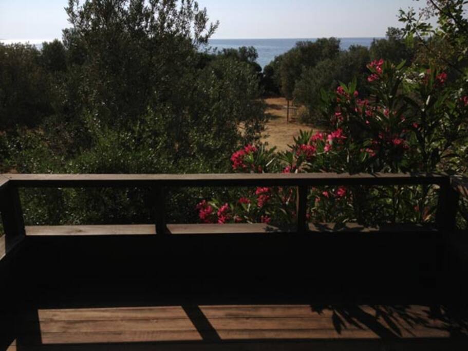 view from the balcony