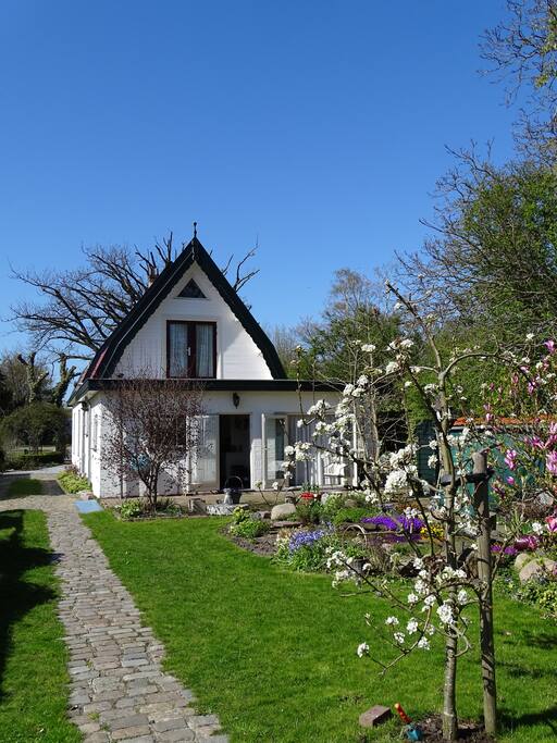 achterzijde en tuin