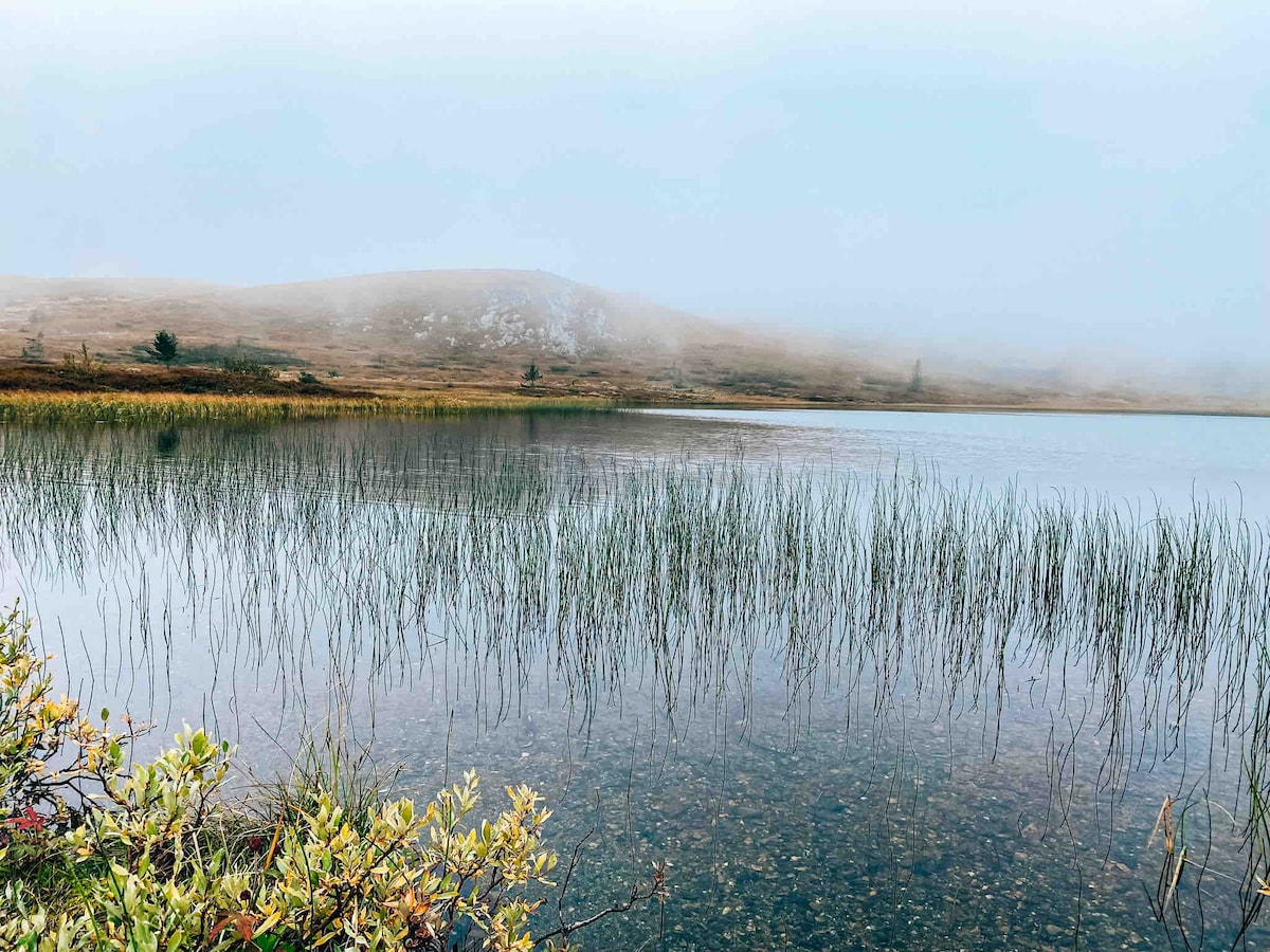 A calm lake reflects soft hues of the surrounding landscape, with tall grasses gently rising from the water's surface. Mist envelops distant hills, creating a serene atmosphere in this natural setting.