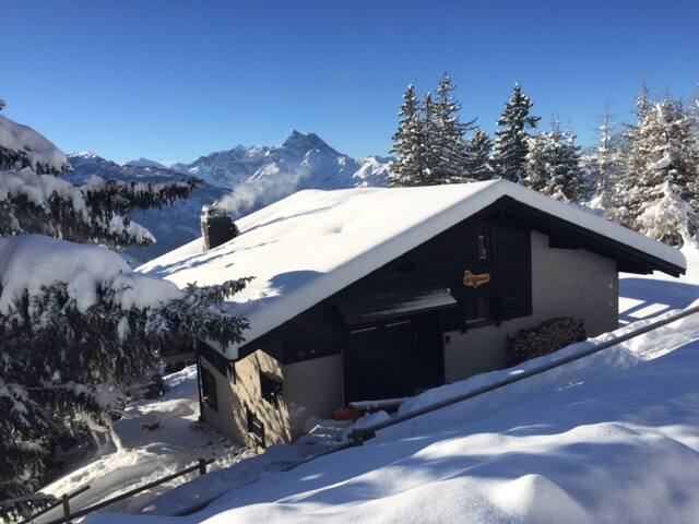 Ski-in/ski-out family chalet “Le Pigeonnier” gallery image 2