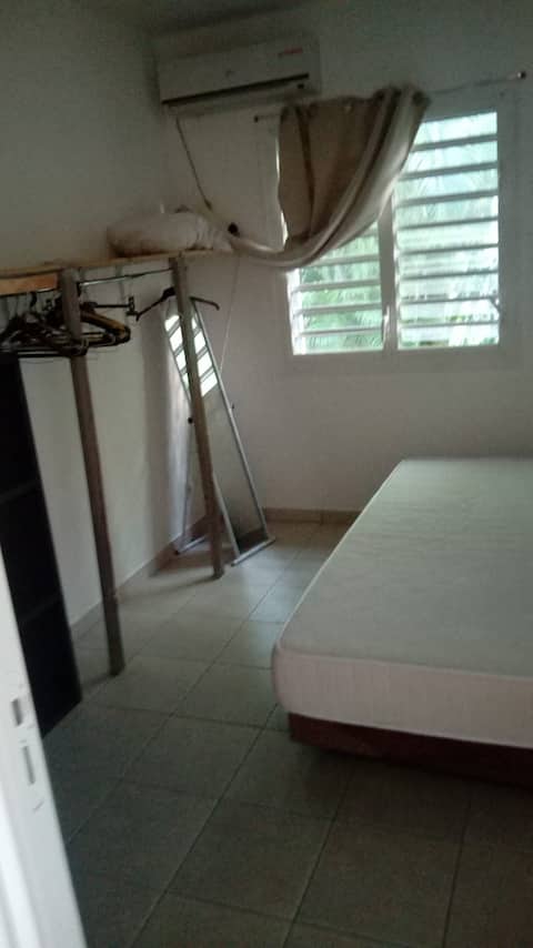 colocation voyageur tropical