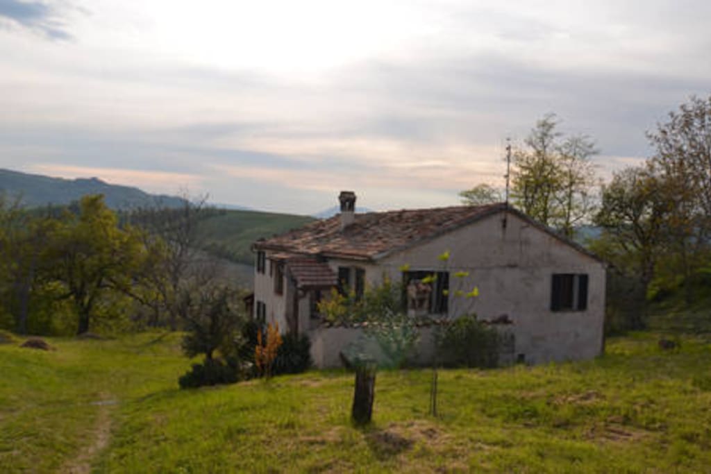 casale