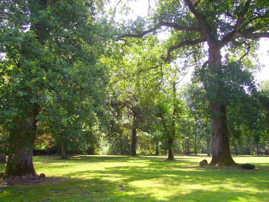 Le parc
