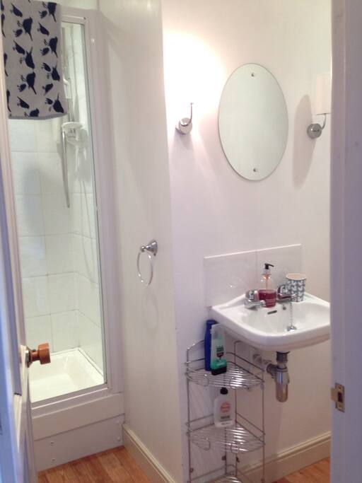 The Ensuite Shower Room