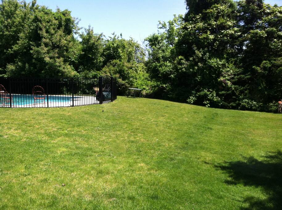Back yard view from lower level apartment