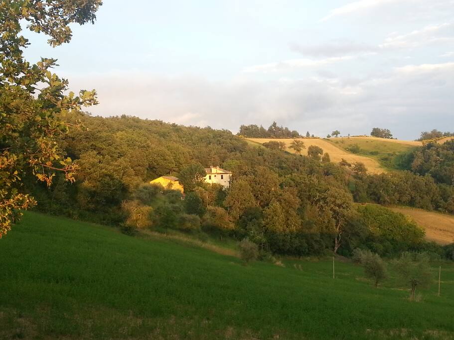 Cesa Cambrogiano in estate