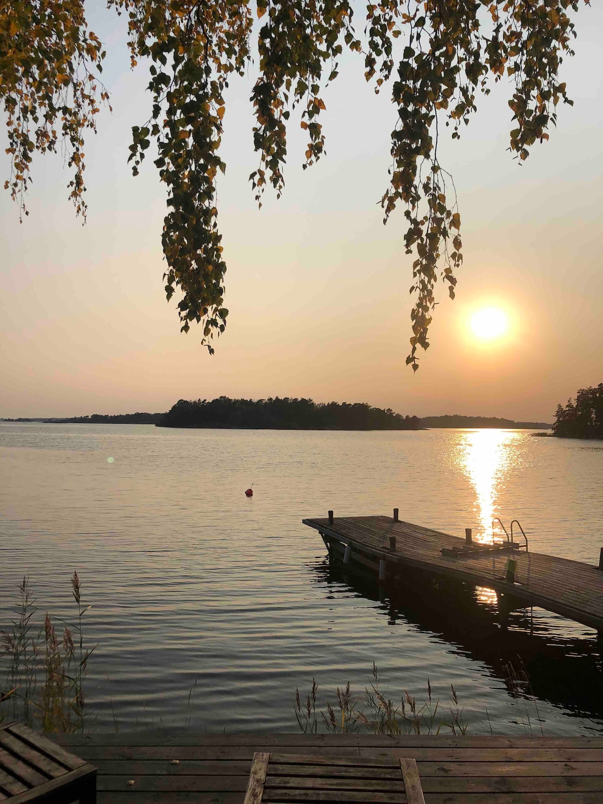 A serene view of the water at sunset, where the sun reflects on the calm surface. A wooden dock extends into the water, surrounded by gently swaying foliage. The distant islands can be seen against the warm horizon.