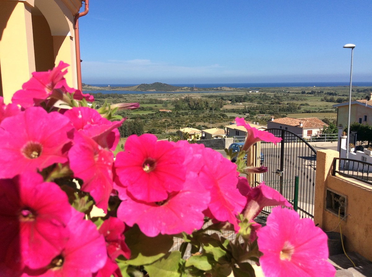Bright pink flowers frame the foreground, drawing attention to the expansive view of the coastline and the sea beyond. The landscape features lush greenery and distant hills under a clear blue sky, offering a serene atmosphere.